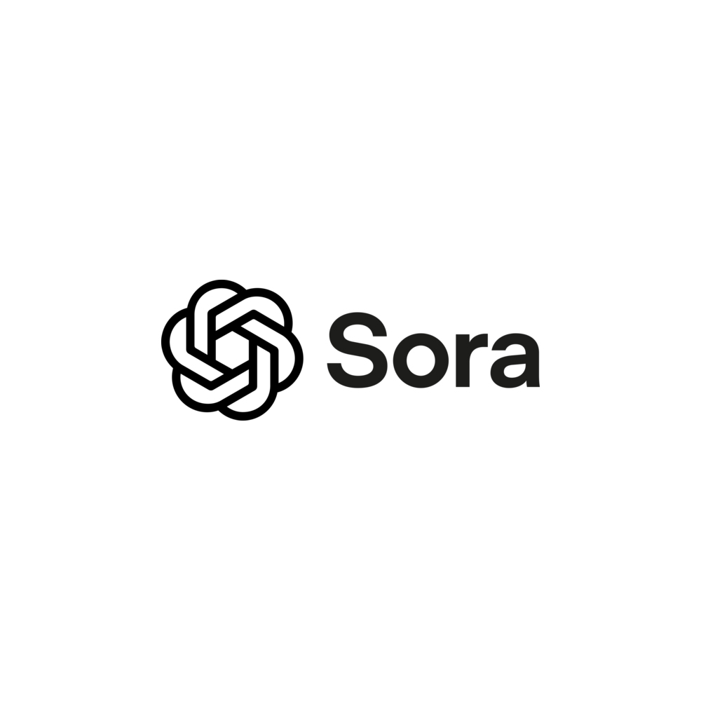 313-herramienta Sora - Imagen 1